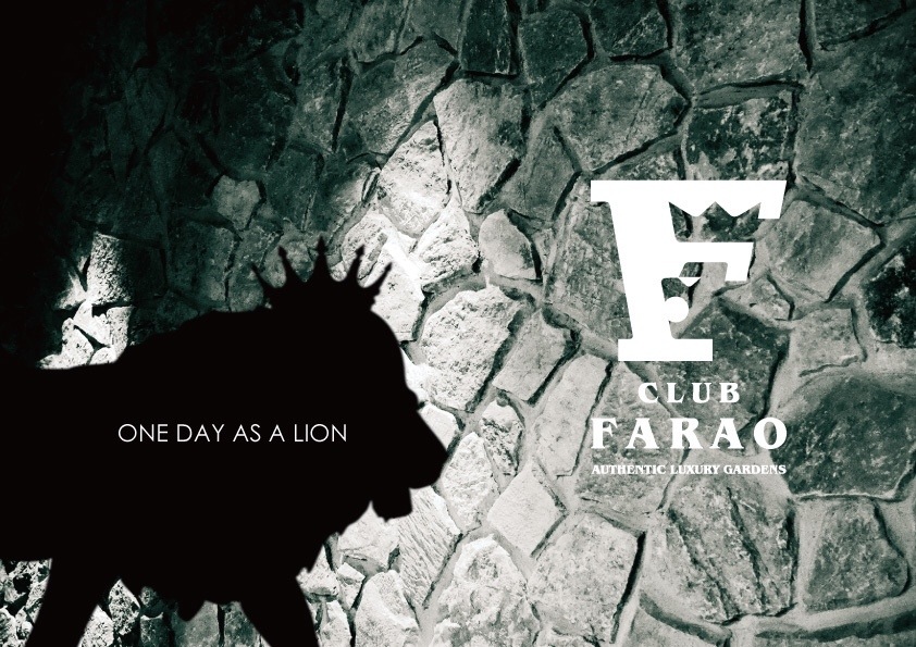 OPENまであと15日【珍しく真面目なお話】